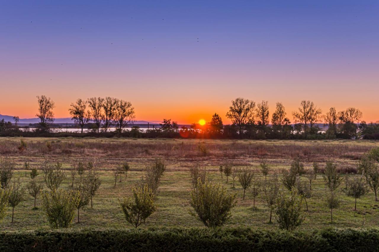 Stejarii Resort Ineu  Экстерьер фото