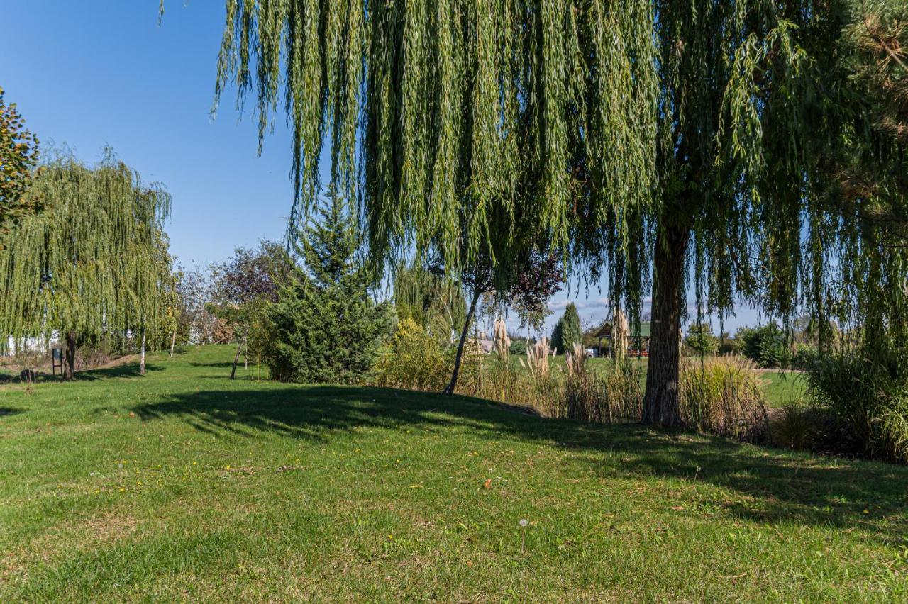 Stejarii Resort Ineu  Экстерьер фото